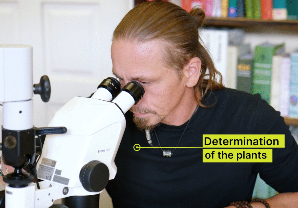Senckenberg – Nature Research